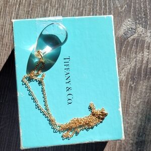 Tiffany&co necklace